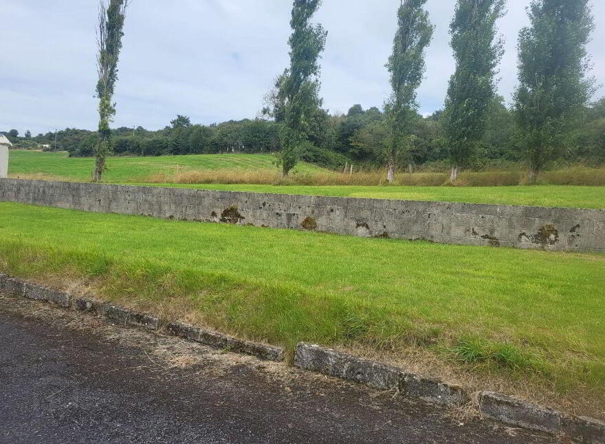 Grange, Kilmallock, Grange, V35WK74