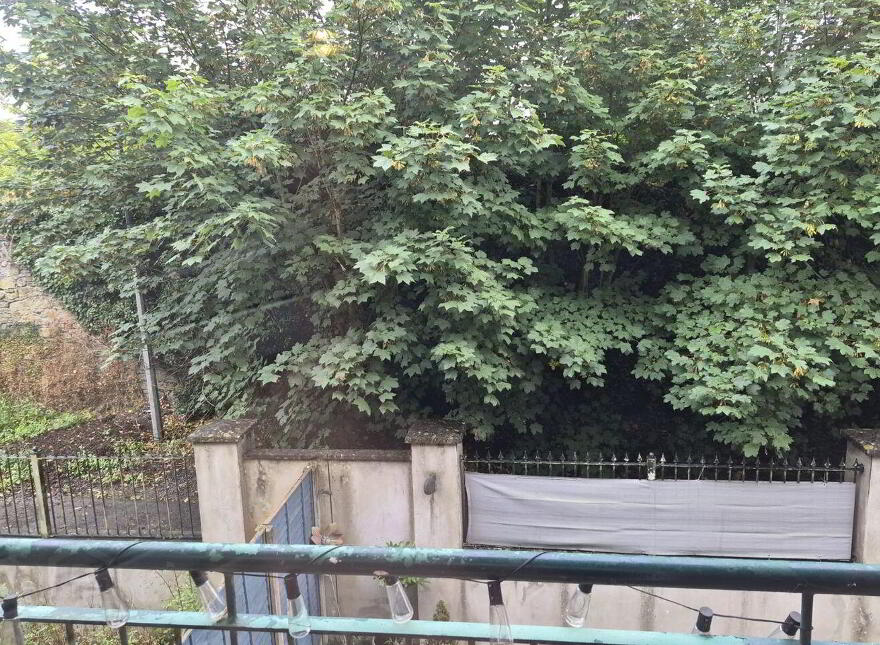 32 Fitzhaven Square, Ashbourne Avenue, South Circular Road, V94N1W3