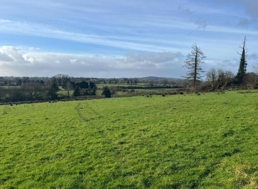 Ballymorris, Cratloe