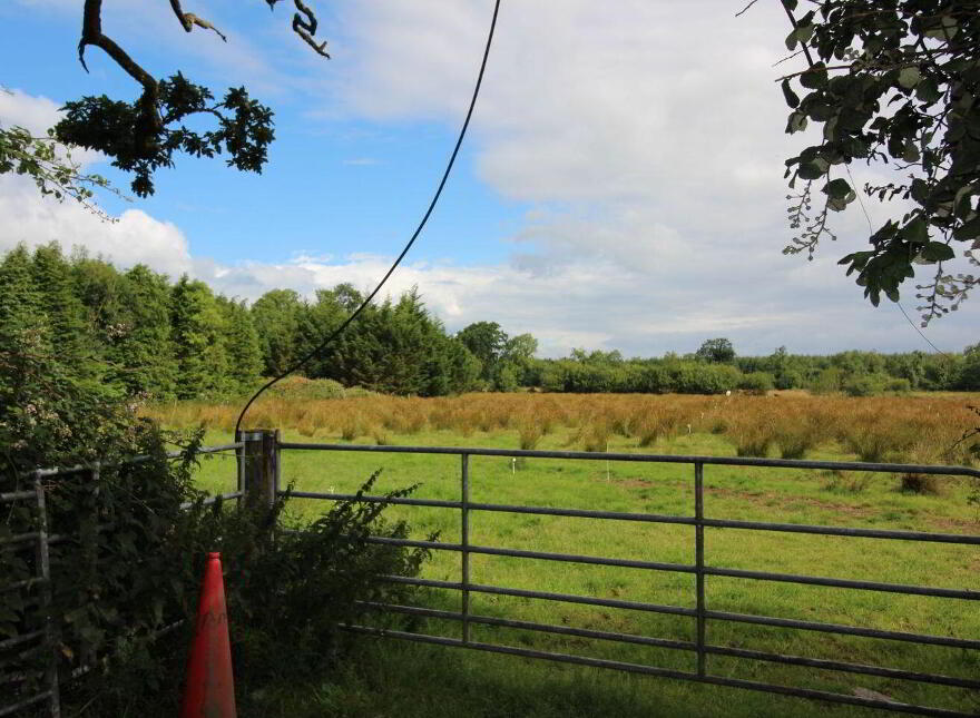 Limerick Road, Newport, V94W60P photo