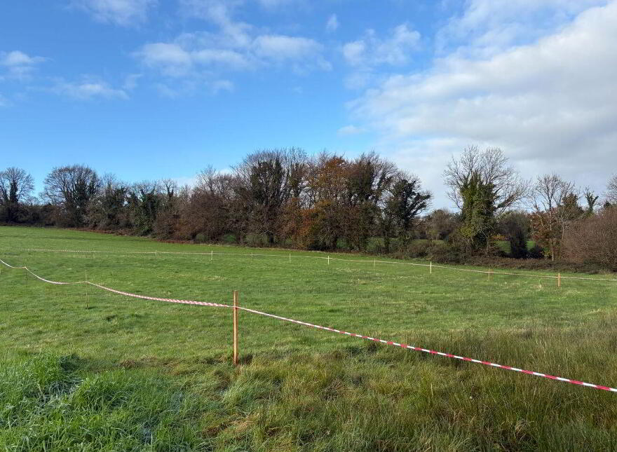 Ballycullen, Sixmilebridge photo