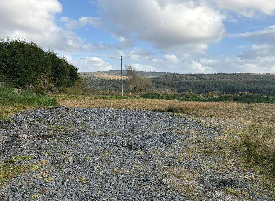 Inchadrinagh, Newport