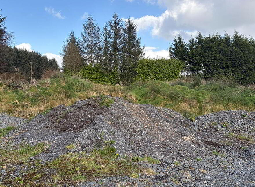 Inchadrinagh, Newport