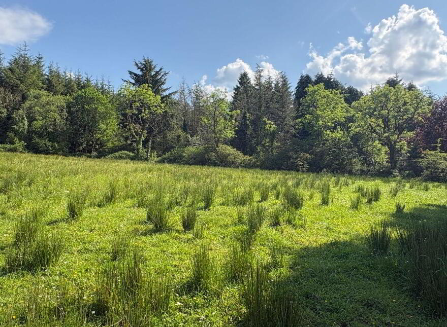 Teach An Atha, Ballymalone, Tuamgraney, V94E04W