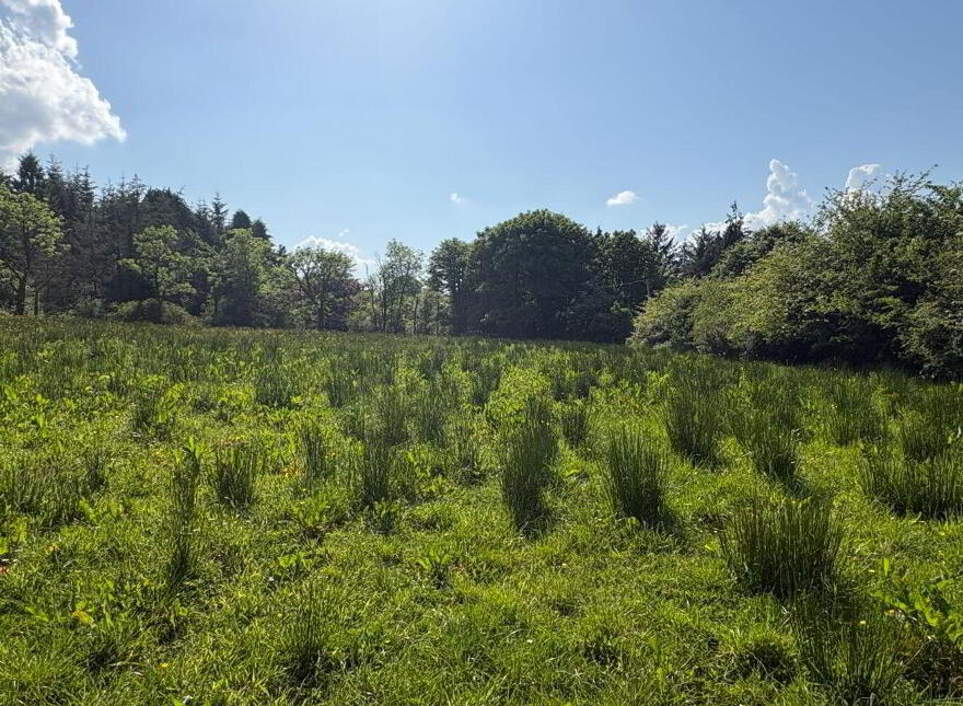 Teach An Atha, Ballymalone, Tuamgraney, V94E04W