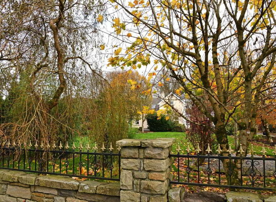 Rinnaney, Foxford, F26H529
