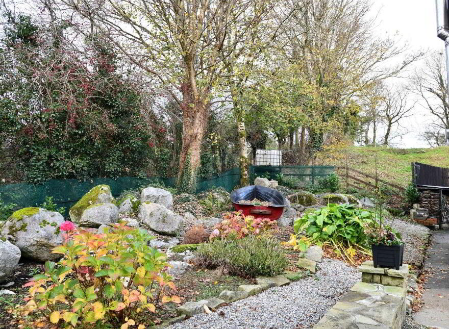 Rinnaney, Foxford, F26H529
