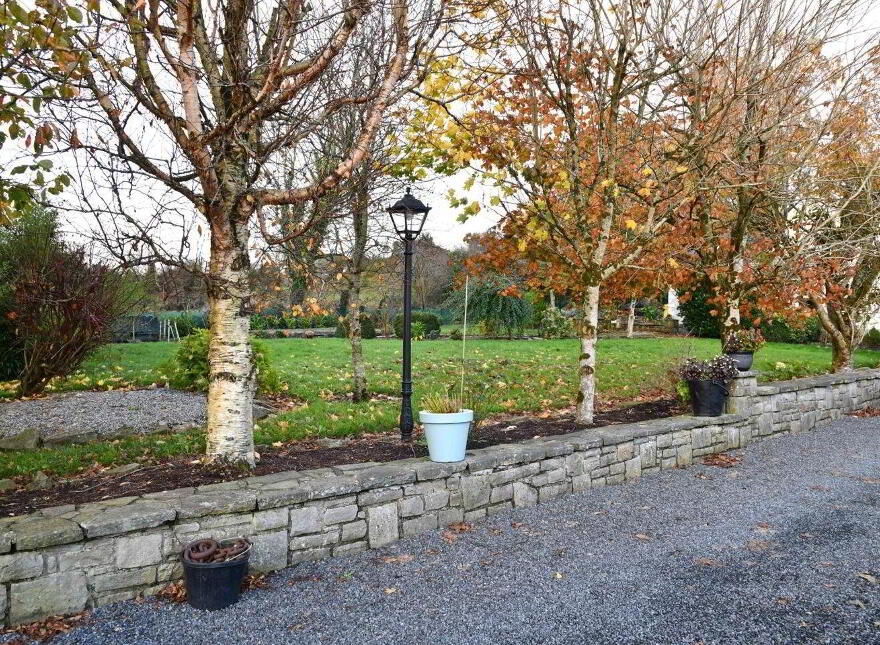 Rinnaney, Foxford, F26H529