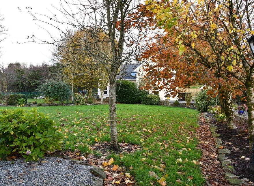 Rinnaney, Foxford, F26H529