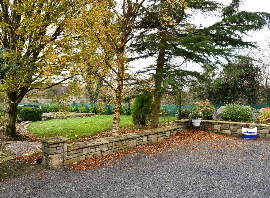 Rinnaney, Foxford, F26H529