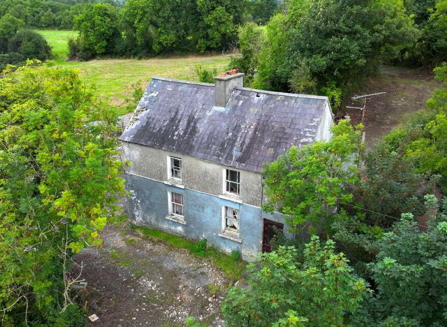 Dingins, Lough Gowna