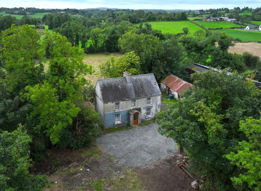 Dingins, Lough Gowna photo