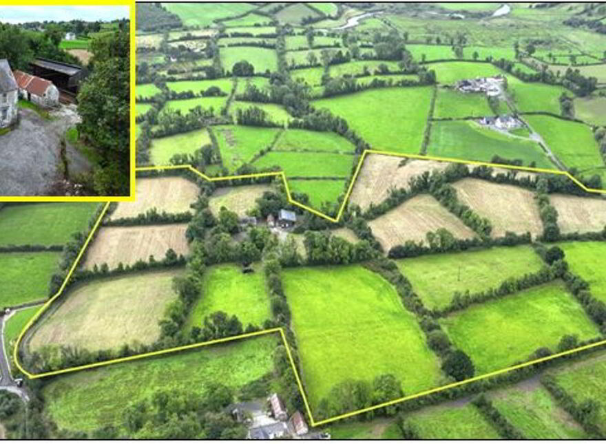 Dingins, Lough Gowna