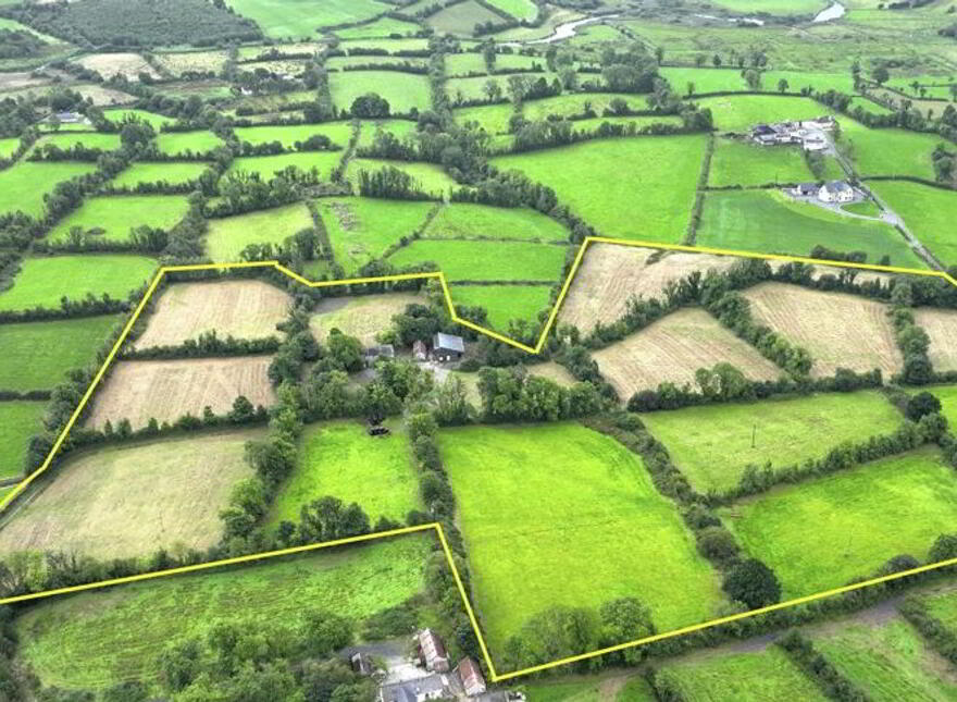 Dingins, Lough Gowna
