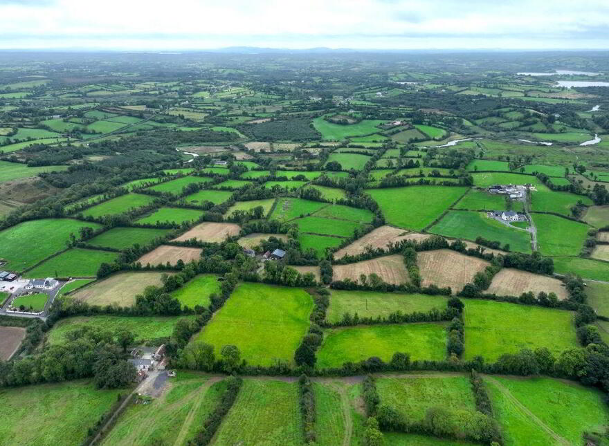 Dingins, Lough Gowna