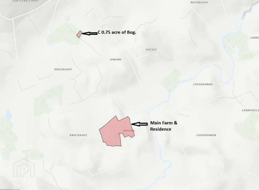 Dingins, Lough Gowna
