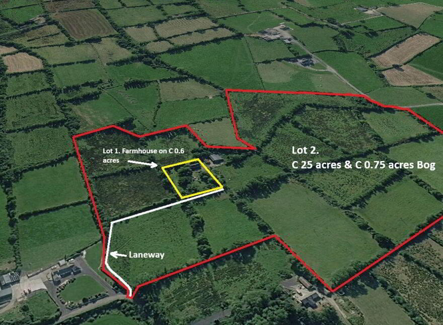 Dingins, Lough Gowna