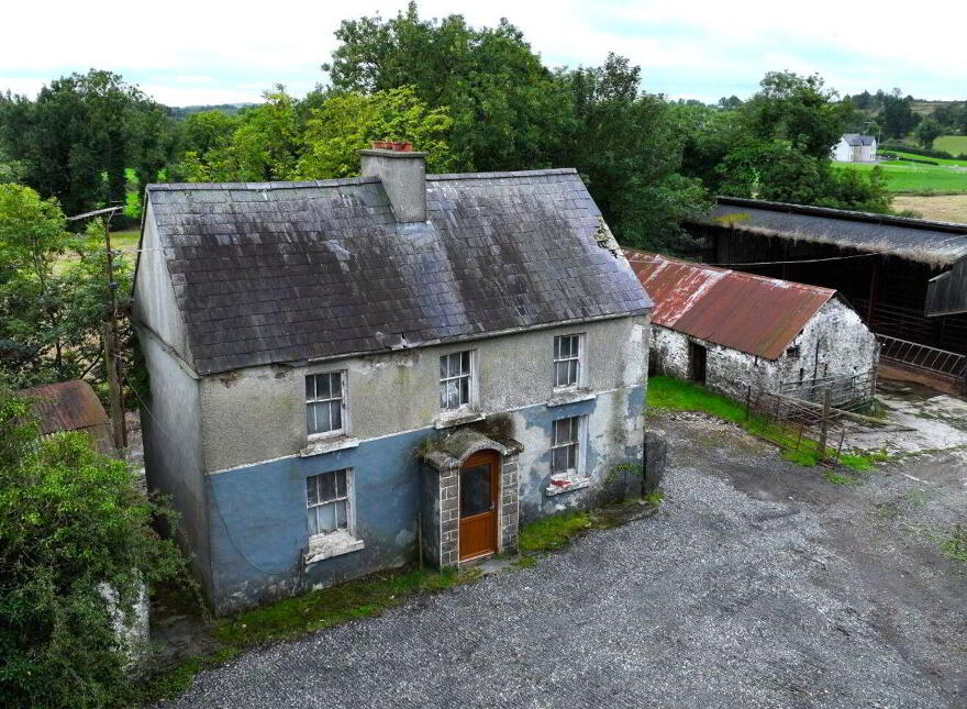 Dingins, Lough Gowna