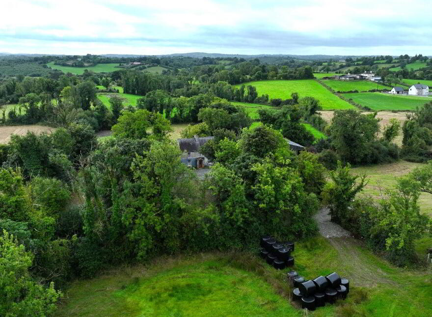 Dingins, Lough Gowna