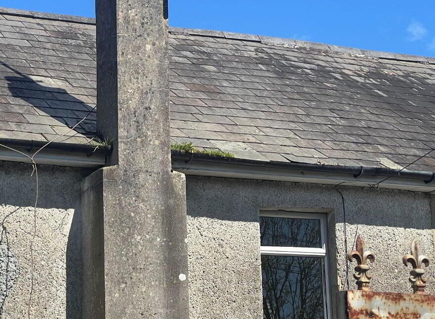 Wards Terrace, 17 WARDS TERRACE, Longford Town
