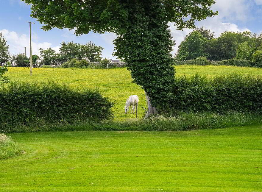 5 The Woods, Turlough, F23XC67