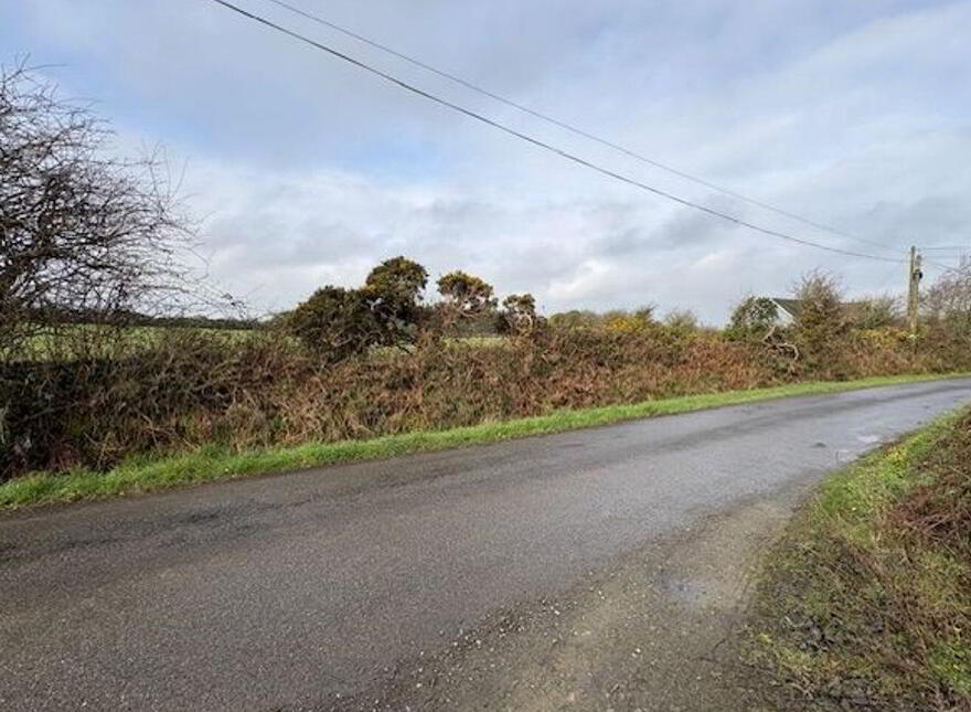 Blackmoor, Cleariestown photo