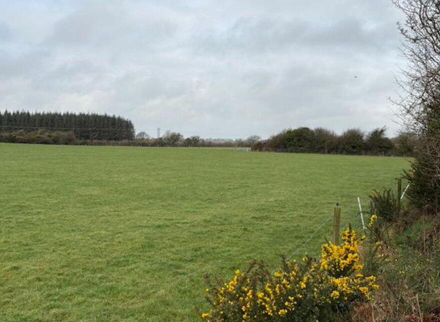 Blackmoor, Cleariestown