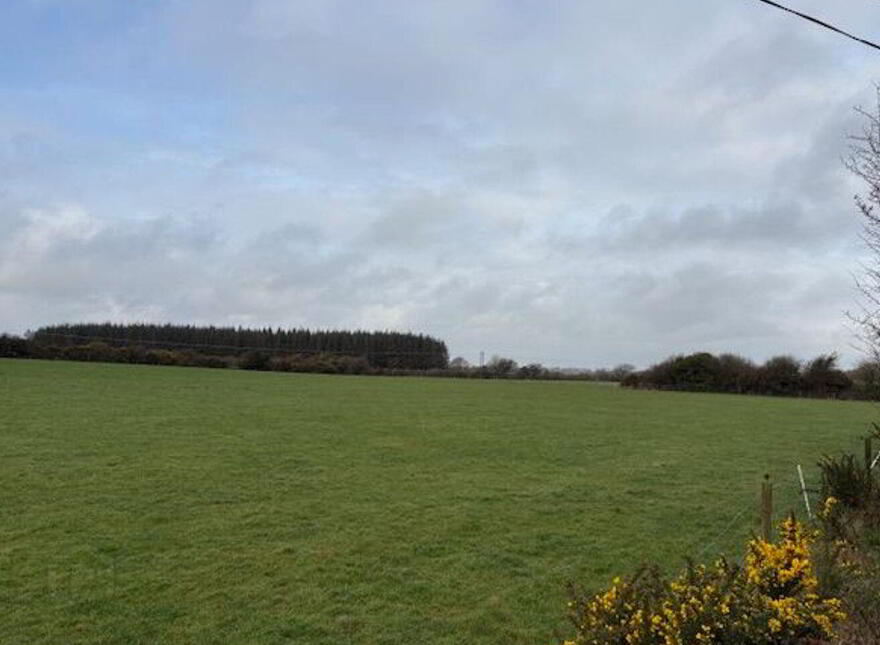 Blackmoor, Cleariestown