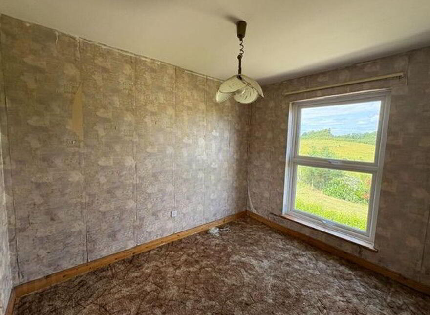 "HOLLYBROOK HOUSE", Screen, Curracloe, Y21K198