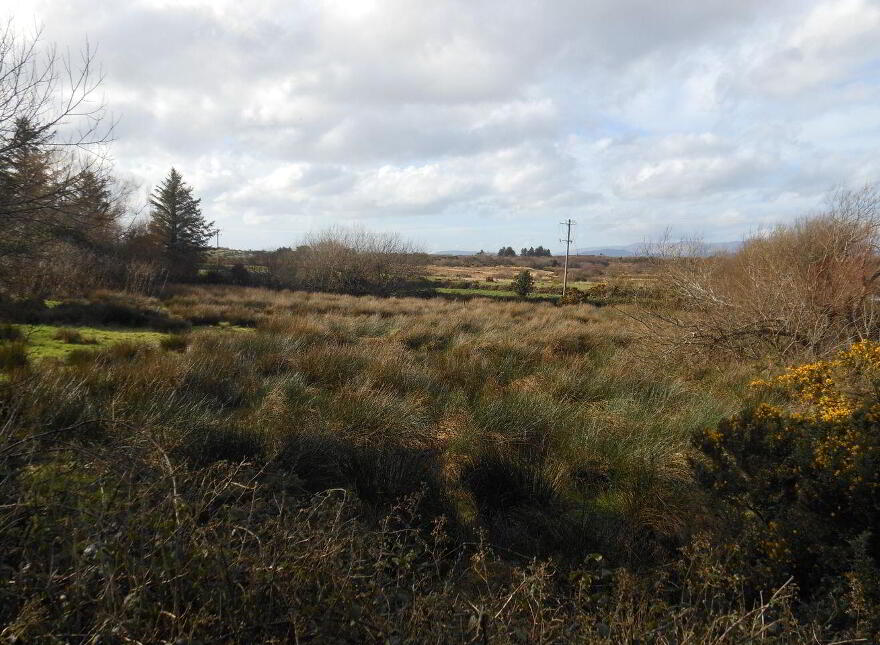 Ballycleave, Glenbeigh