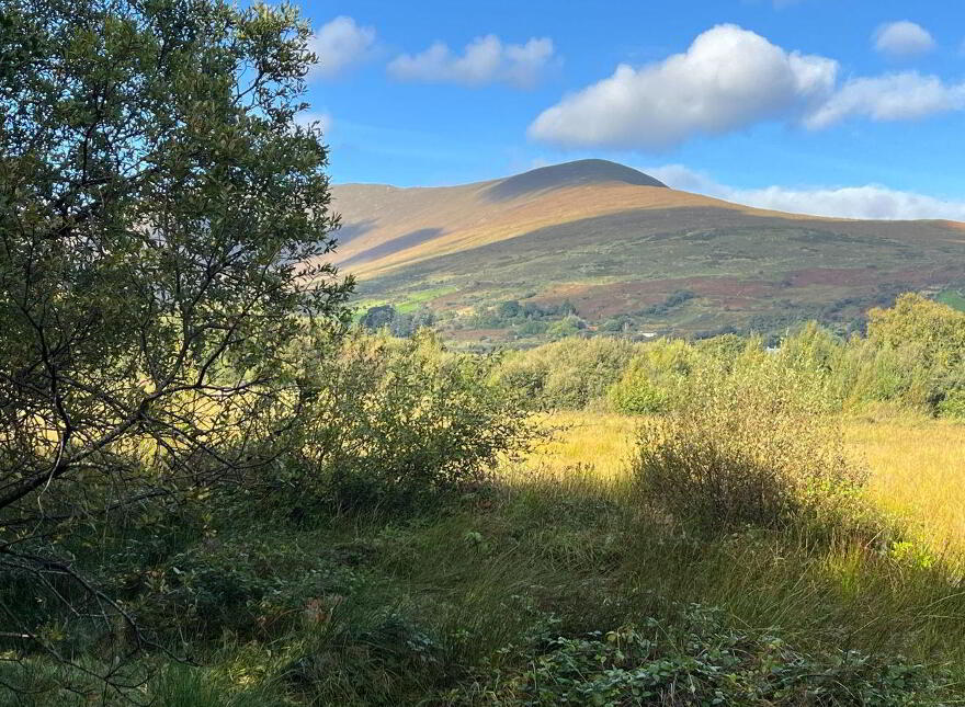 Kealduff Lower, Glenbeigh, V93DY02 photo