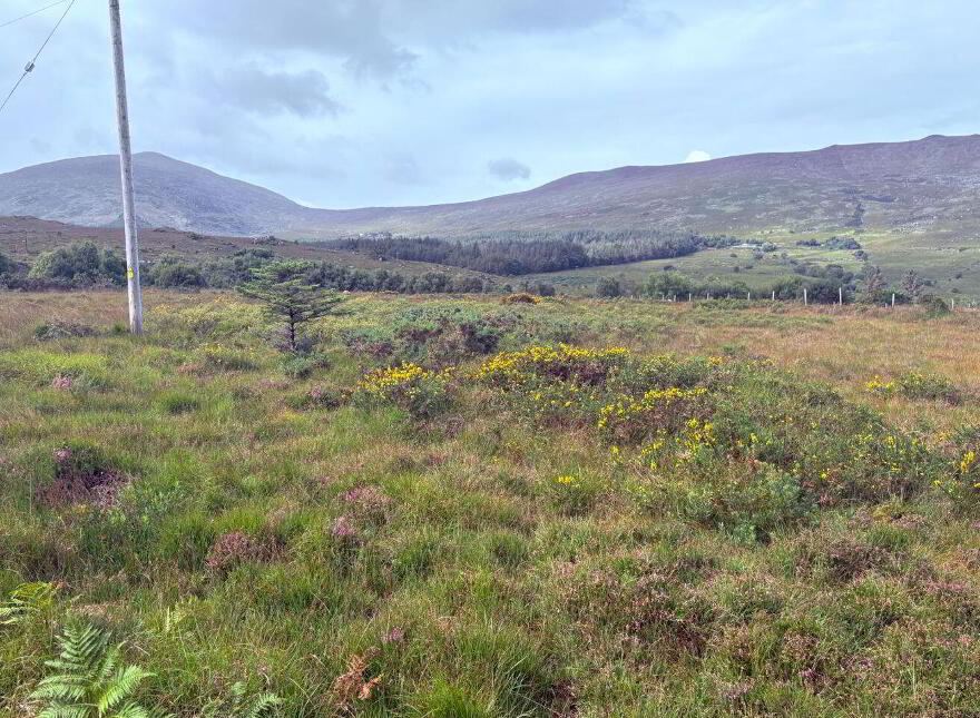 Dreenagh, Glencar, V93X2R2 photo