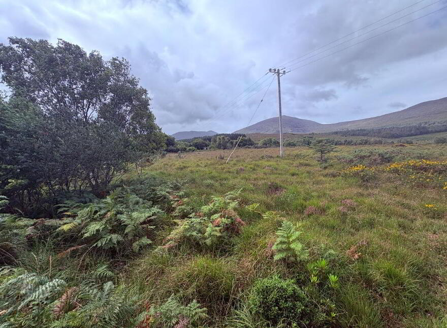 Dreenagh, Glencar, V93X2R2