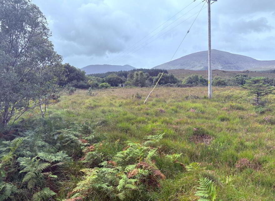 Dreenagh, Glencar, V93X2R2