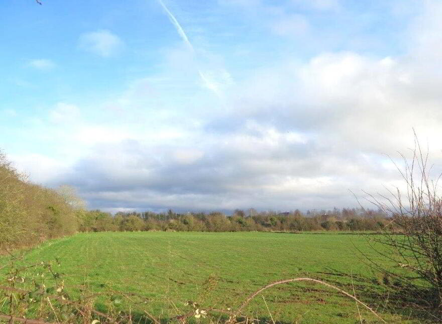 Barnalick, Adare photo