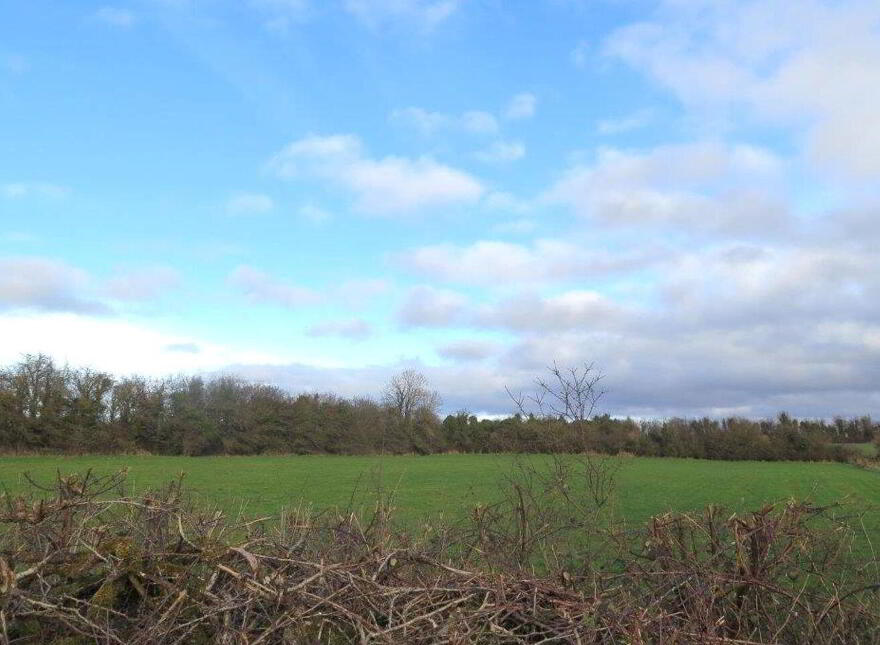 Barnalick, Adare