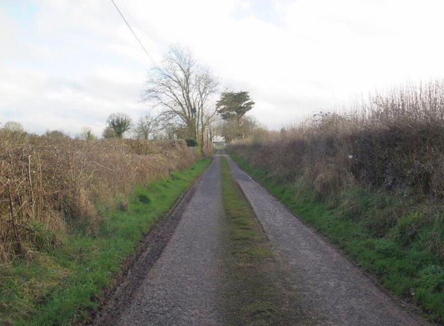 Barnalick, Adare
