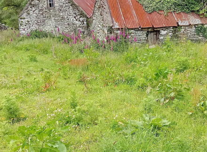 Curraflugh, Glencar
