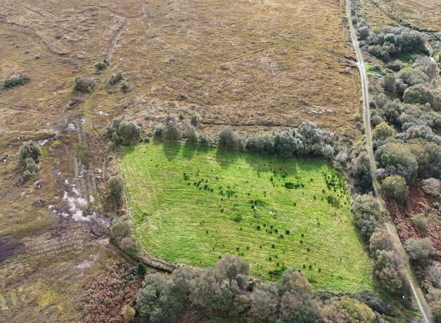 Knocknaboola, Killorglin