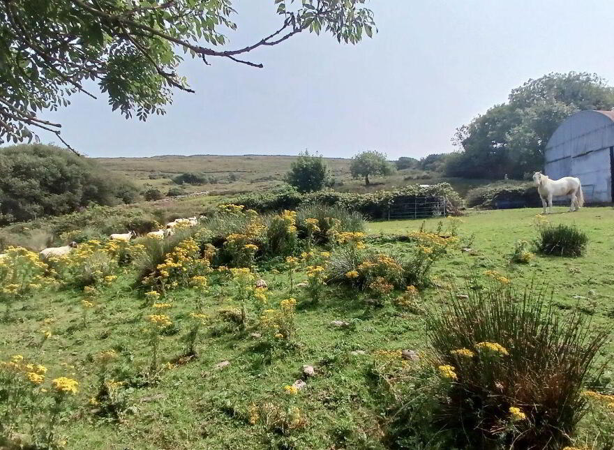 Spunkane Hill, Waterville, Ballinskelligs, V23FN74