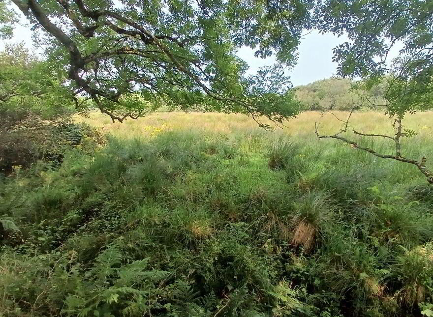 Spunkane Hill, Waterville, Ballinskelligs, V23FN74