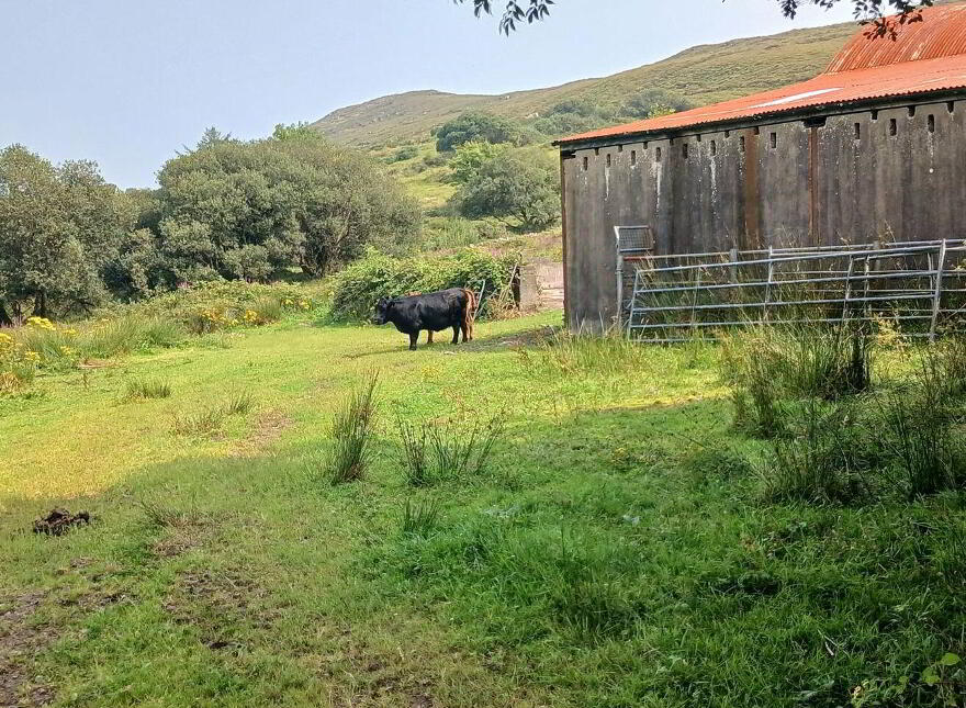 Spunkane Hill, Waterville, Ballinskelligs, V23FN74
