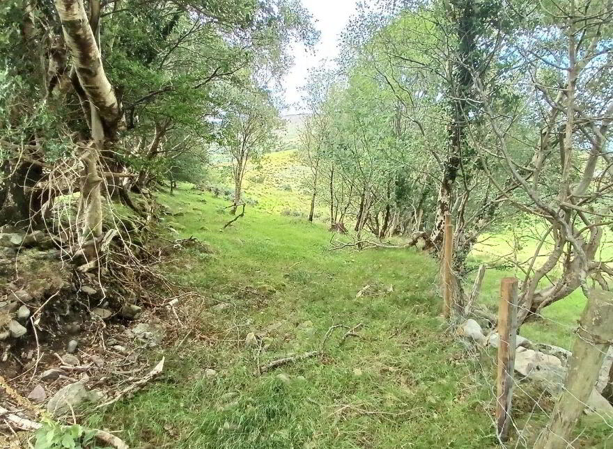 Gortboy, Beaufort, V93DP64