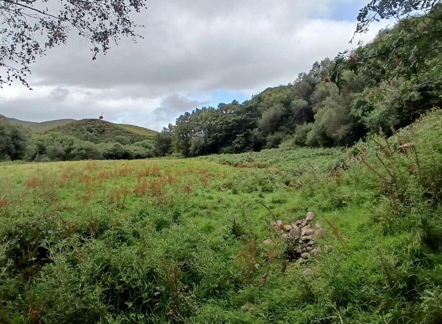 Gortboy, Beaufort, V93DP64