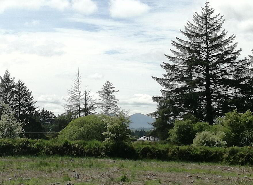 Ballydesmond Village, Ballydesmond