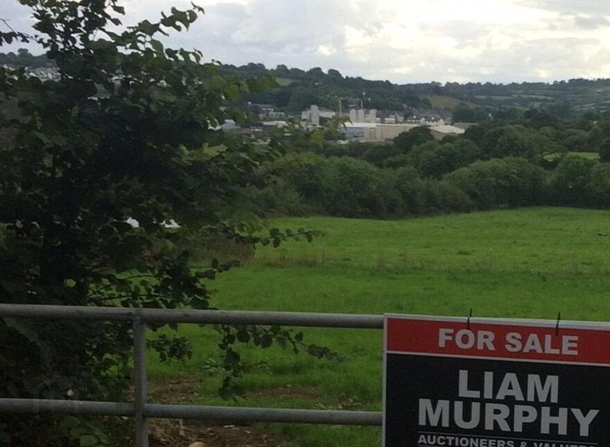 Killowen, Newmarket photo