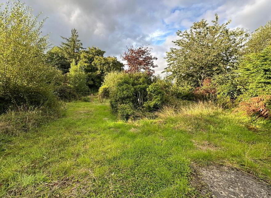 Mountkeeffe, Newmarket, Tullylease, P51Y2C0