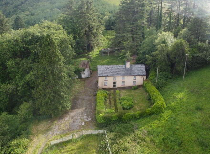 Gneeves, Millstreet, P51EP84 photo