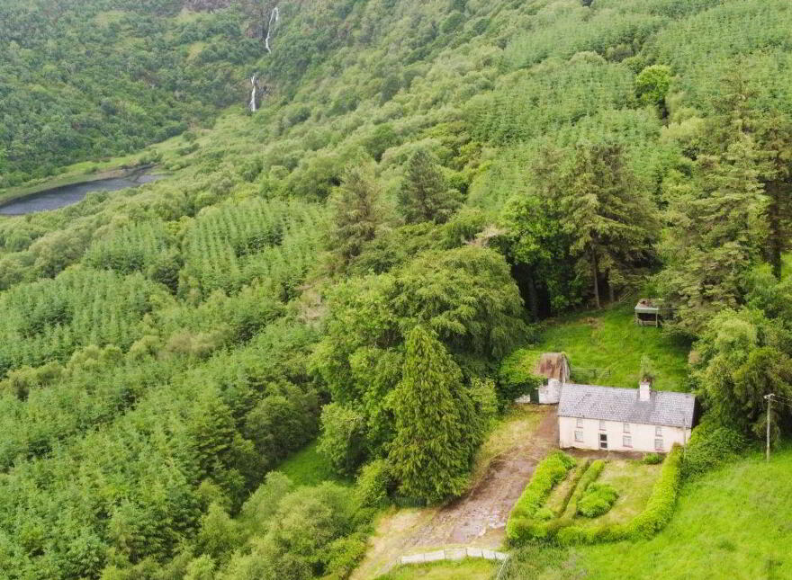 Gneeves, Millstreet, P51EP84