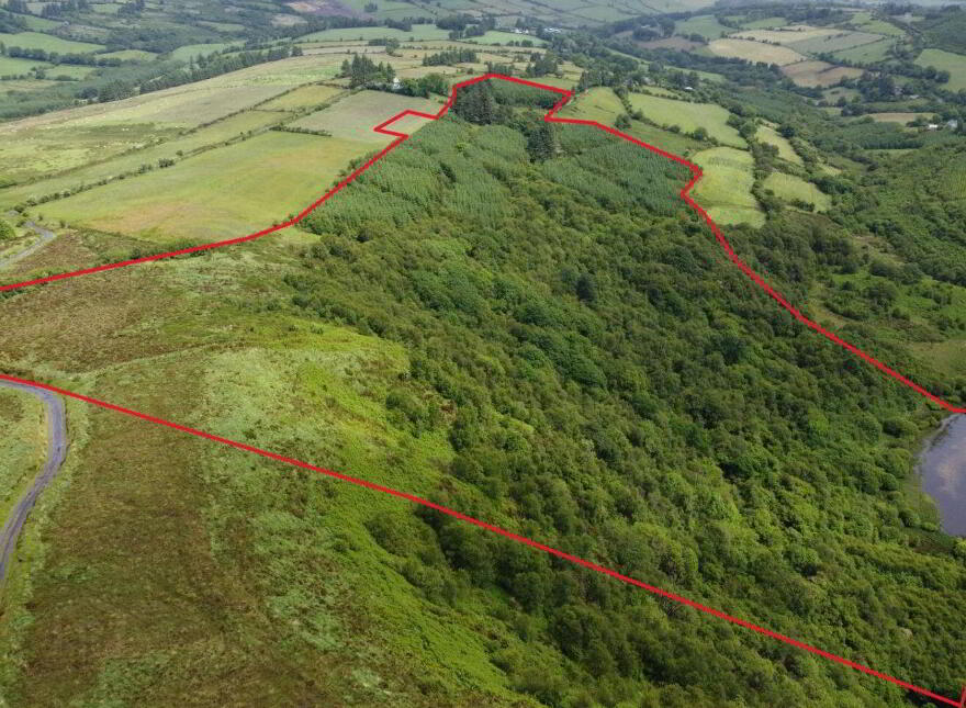 Gneeves, Millstreet, P51EP84